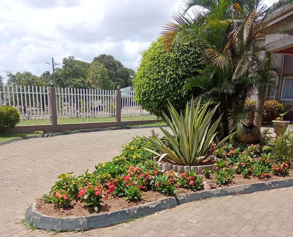 Macave Jardins & Manutenção História